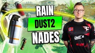 rain Nades — Dust2 vs Liquid — CS2 POV IEM RIO 2024