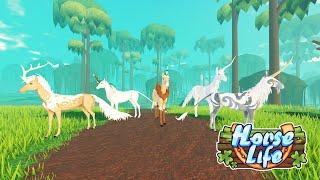 NEW Horse Life Traits Update Crossbreeding & Size Logic Explained!