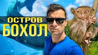 Остров Бохол, Филиппины 2024. Куда поехать и что посмотреть?