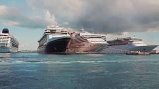 The Disney Dream