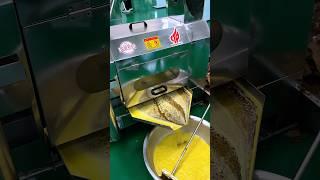 6YL-110 single screw oil press machine to press canola oil #oilpress #oilmaking #mustardoil