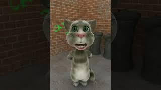 (OLD VIDEO) talking tom have a crazy (Sorry for loud)