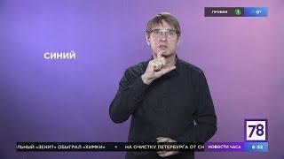 Учим жестовый язык в "Полезном утре" (Цвета)