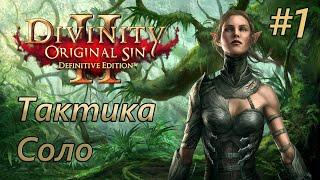 Прохождение Divinity: Original Sin 2 [Definitive Edition]. Тактика. Соло. #1