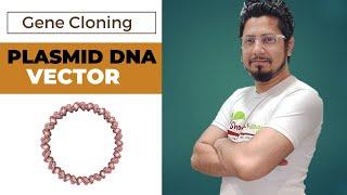 Plasmid DNA vector in gene cloning | plasmid vector | pbr322 vector | puc 19 vector