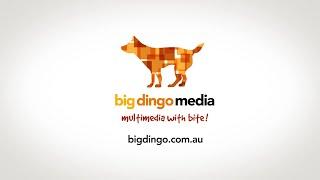 Big Dingo Media Showreel 2020