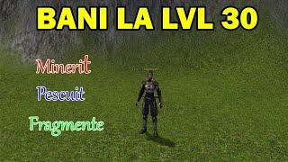 Metin2 ro - Carpathians - 3 METODE DE FACUT BANI LA LVL 30