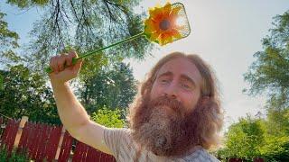 ASMRFlower-Swattering You Into Another Dimension(Lofi)