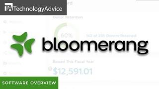 Bloomerang Overview - Top Features, Pros & Cons, and Alternatives