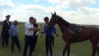 Скачки аул Нижний Барханчак 2016г.