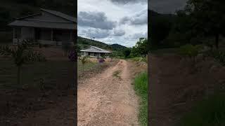 O que vc acha de viver assim? Casinha simples na roça #roça #campo #fazenda #chacara #sitio #short