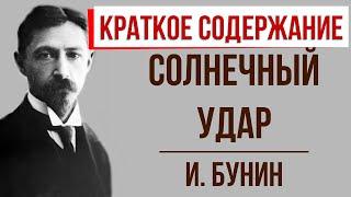 Солнечный удар. Краткое содержание