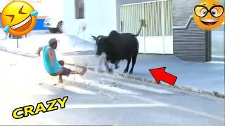Try Not To Laugh Challenge Best Of 2025 |Hilarious People Moment |Funniest Videos Compilations Pt3