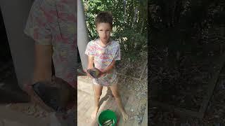 Обзор улова 19.07.2024. Красный конь. Никита рыбак