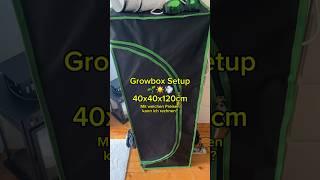 Günstiges 40x40 Growsetup #gardening #grow #diy #plants #germany #garden #growsetup