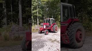International 1086 #shorts #international #1086 #redpower #tractor