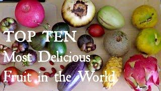 Top 10 Most Delicious Fruits - Weird Fruit Explorer Ep. 102