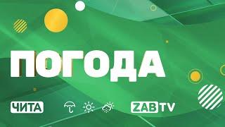 Прогноз погоды на 4 июня 2024 года