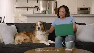 How to Use Frontline Plus Flea and Tick Treatment for Dogs