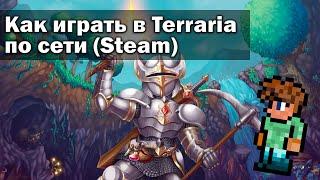 Как играть в Terraria по сети в 2024 году (Steam)