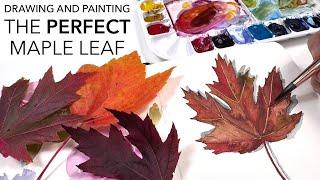 Drawing And Painting The PERFECT maple Leaf - Made EASY!