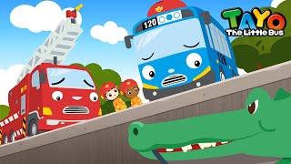 The Alligators Are Gone | Tayo Animal Rescue Team | Rescue Team Episodes | Tayo the Little Bus