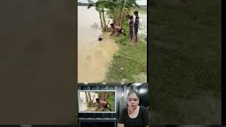sangat menghibur 