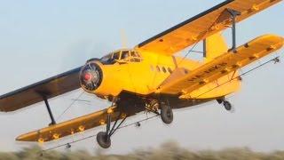PZL-Mielec An-2 mosquito control at Szeged airport, Hungary