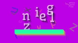 ZINGEL - HOW TO PRONOUNCE ZINGEL?