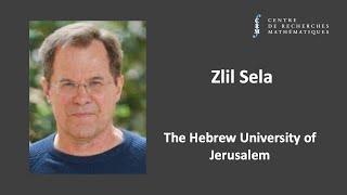 Zlil Sela: Model Theory over groups