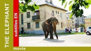 The Elephant. Russian Movie. Adventure. Comedy. English Subtitles. The Rock Films. StarMediaEN