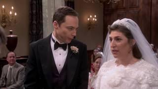 The Big Bang Theory | Luke Skywalker | Mark Hamill S11E24