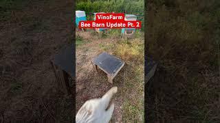OCT 1,  2023, BeeBarn Bee Yard Update! Part 2. I’ve never had a straight up absconding before. NBD.