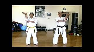 How to Do Mai Shuto Mawashi Uke