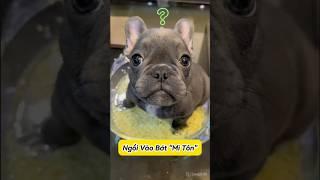  Tiểu Hắc Ngồi vào bát "mì tôn" của Sen ! #emthocreview #shorts #trend #viral #hàihước #giảitrí
