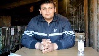 ВАКЦИНАЦИЯ КРОЛИКОВ ОТ МИКСОМАТОЗА