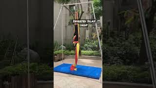 Inverted aerial silks drop | the Aerial Besties| Tutorial link in Description #shorts