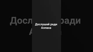 #мухаммад #жизньпророка #пророк #историяислама
