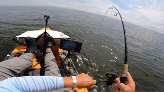 It's Been a Tough Summer Kayak Fishing for Fluke in the Western LI Sound!