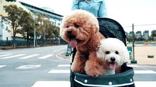 IBIYAYA Cloud 9 Pet Stroller Video