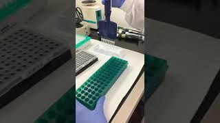 Reverse pipetting with a Multichannel Pipette