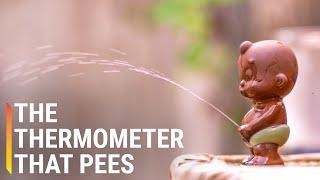 How the Chinese ‘Pee-Pee Boy’ Thermometer Works