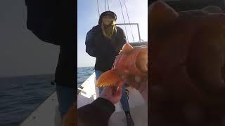 Insane Deep Sea Rock Fishing