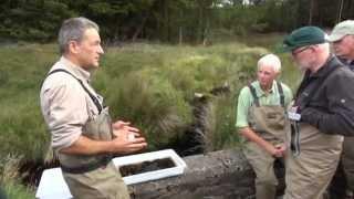 Loughs Agency Wild Trout Trust Video 1