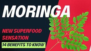 MORINGA - 14 REASONS TO INCLUDE THIS INCREDIBLE SUPERFOOD IN YOUR DIET