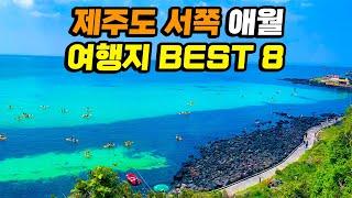 제주도 서쪽 애월 하루 여행 코스 가볼만한곳 Best 8 | 제주 맛집 카페 여행지 추천 | 돌고래스팟 아르떼뮤지엄 새별오름 곽지 한담해안산책로 나홀로나무