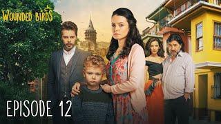 Wounded Birds - Episode 12 - [Multi Lang. Subtitles] Turkish Drama | Yaralı Kuşlar 2019