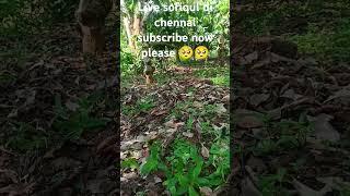 please subscribe my channel| 