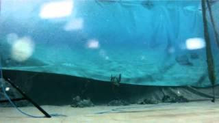The Underwater Realm Set Timelapse