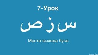 Арабский алфавит • Махрадж аль-Хуруф • س ز ص • Урок-7 // #арабскийалфавит #махраджи #ислам #тажвид